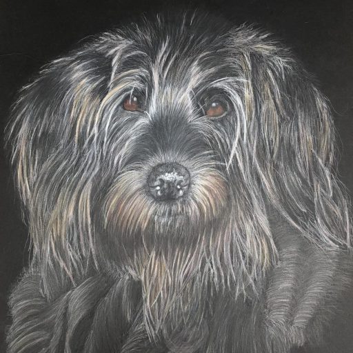 Sue Oliver Art